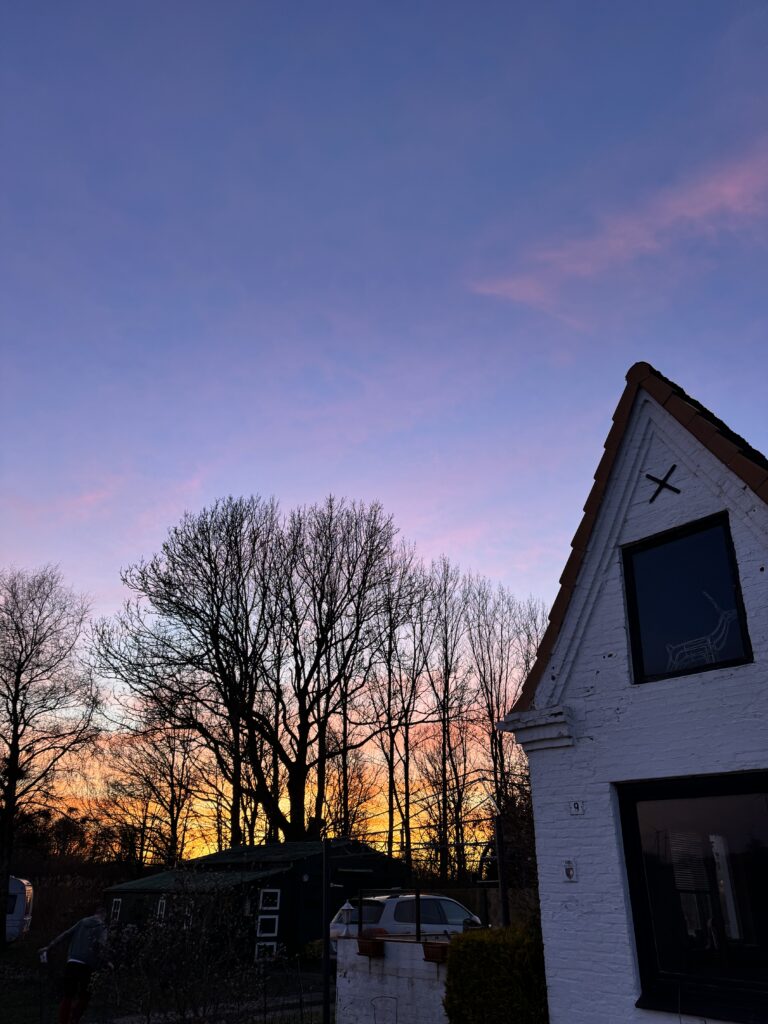 Haus in der Wilstermarsch